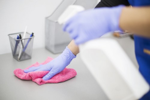 Professional Docklands cleaners working in a modern apartment interior