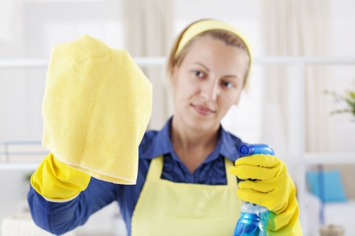 Sofa cleaning process in a bright living room