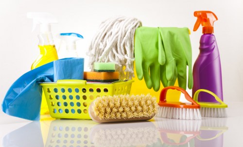 Organized cleaning supplies ready for a domestic cleaning routine
