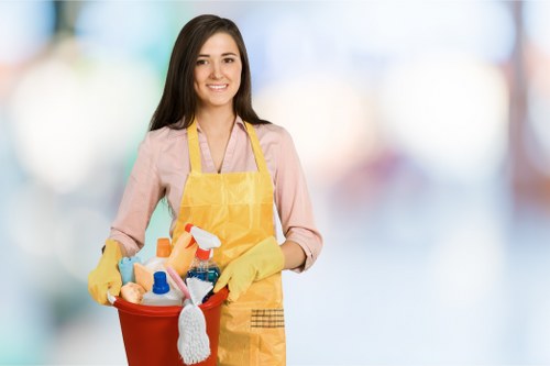 Home cleaning tools arranged for an effective regular cleaning routine