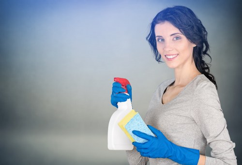 Bathroom cleaning tools beside a sparkling sink